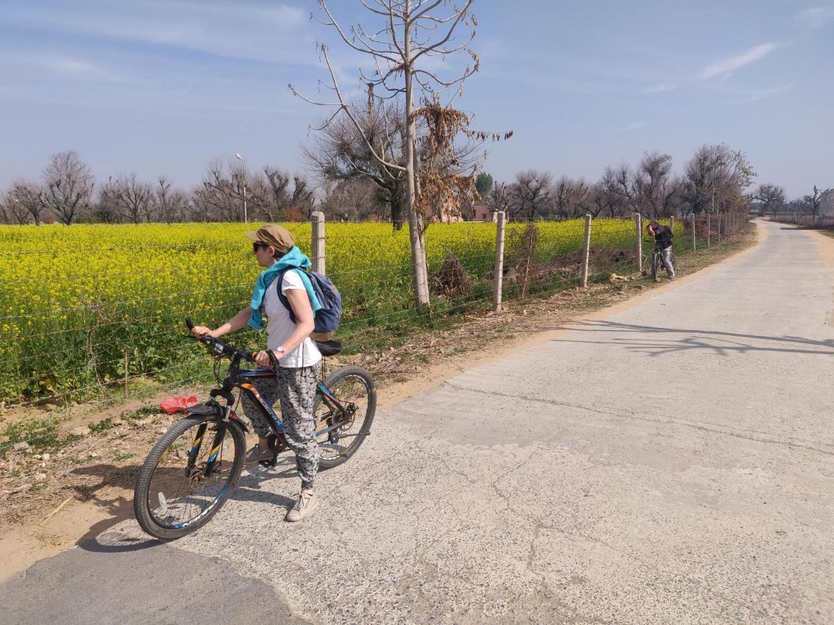Tourist Pension Nawalgarh Екстериор снимка